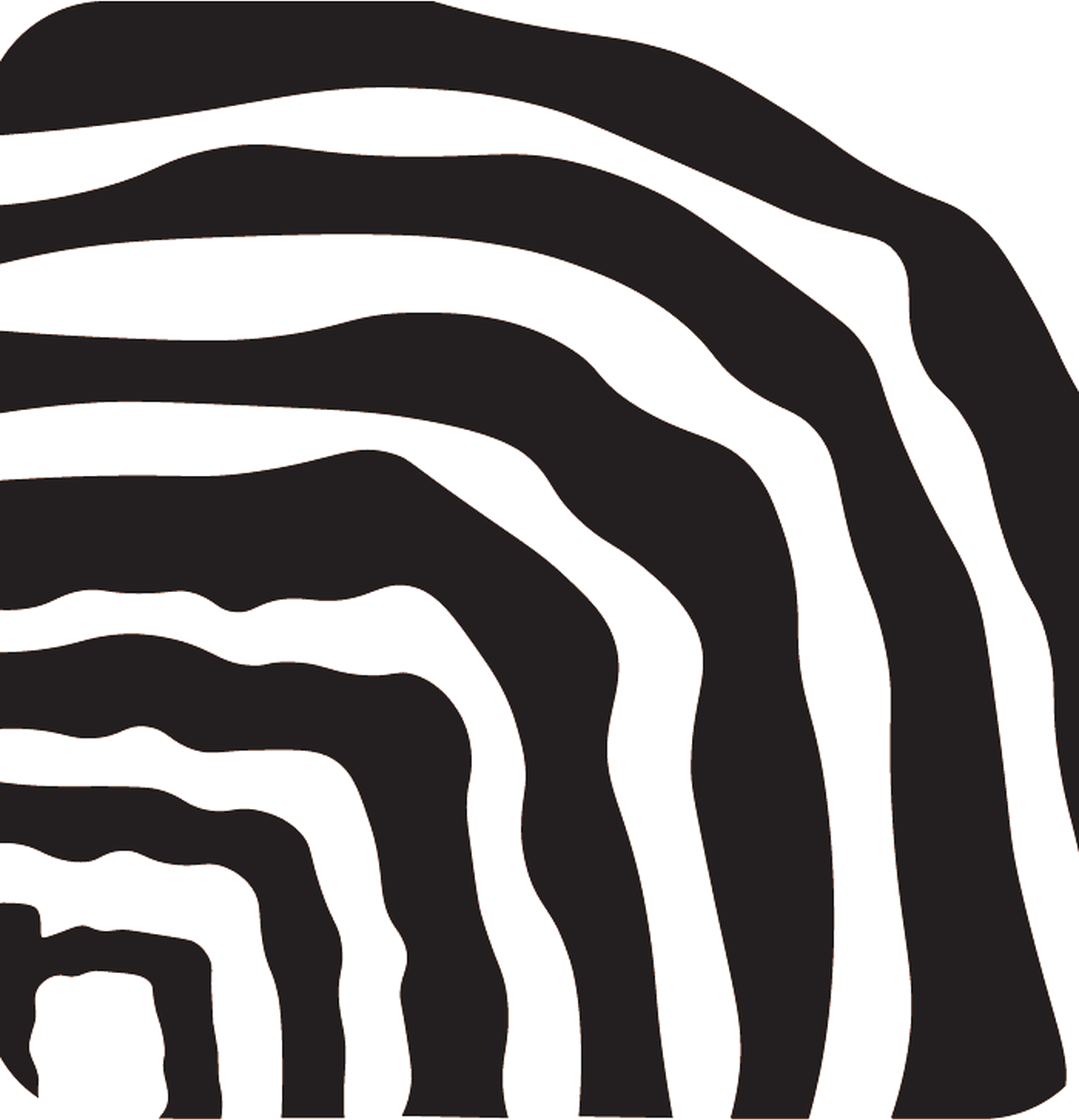 NarraSEO mark: annual rings forming an N silhouette